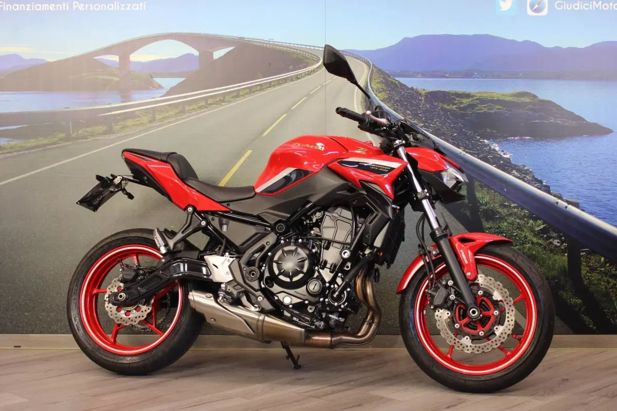 Kawasaki Z 650 50th Anniversary (2022 - 23) (5)