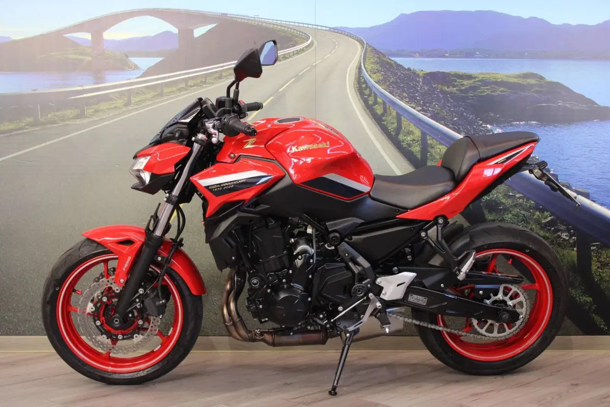 Kawasaki Z 650 50th Anniversary (2022 - 23) (7)