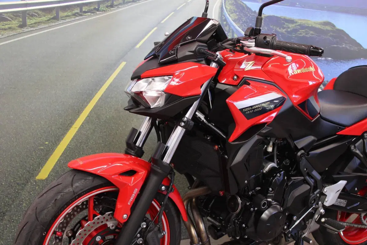 Kawasaki Z 650 50th Anniversary (2022 - 23) (8)