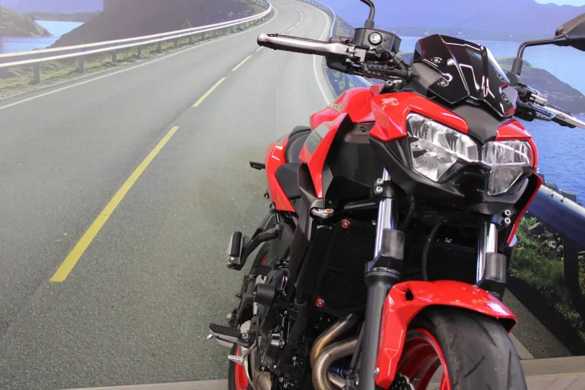 Kawasaki Z 650 50th Anniversary (2022 - 23) (10)