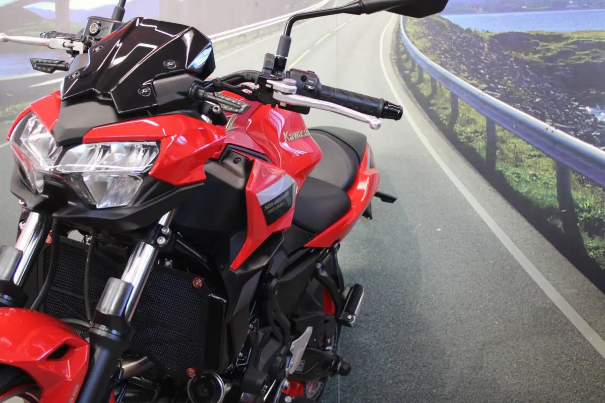 Kawasaki Z 650 50th Anniversary (2022 - 23) (11)