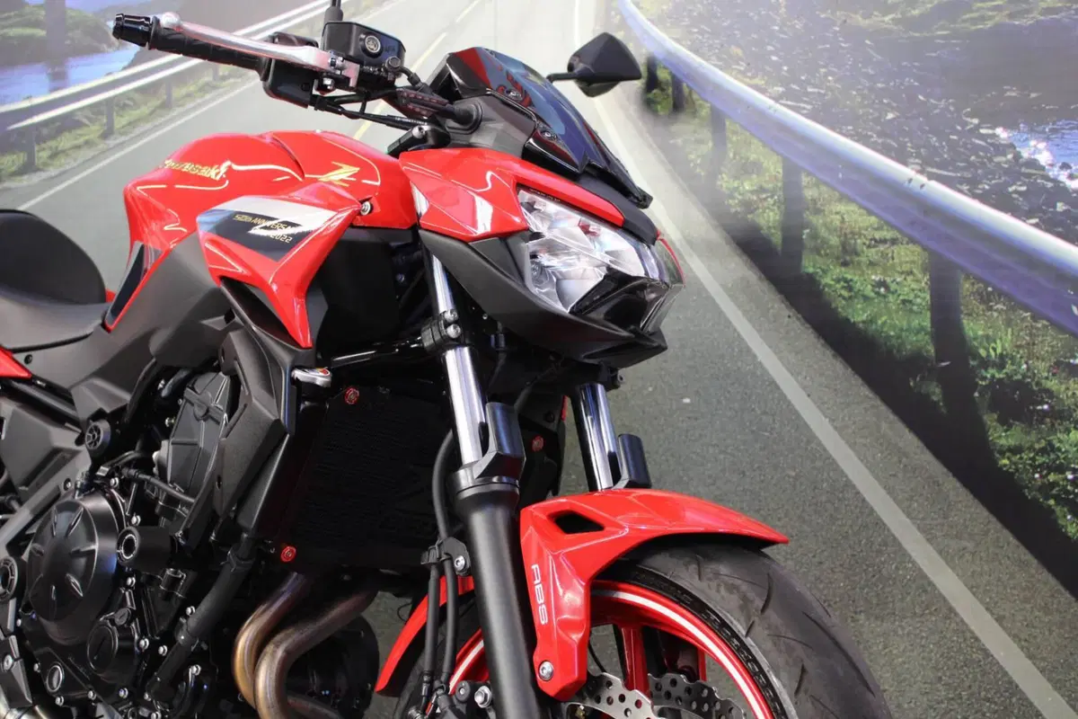 Kawasaki Z 650 50th Anniversary (2022 - 23) (12)