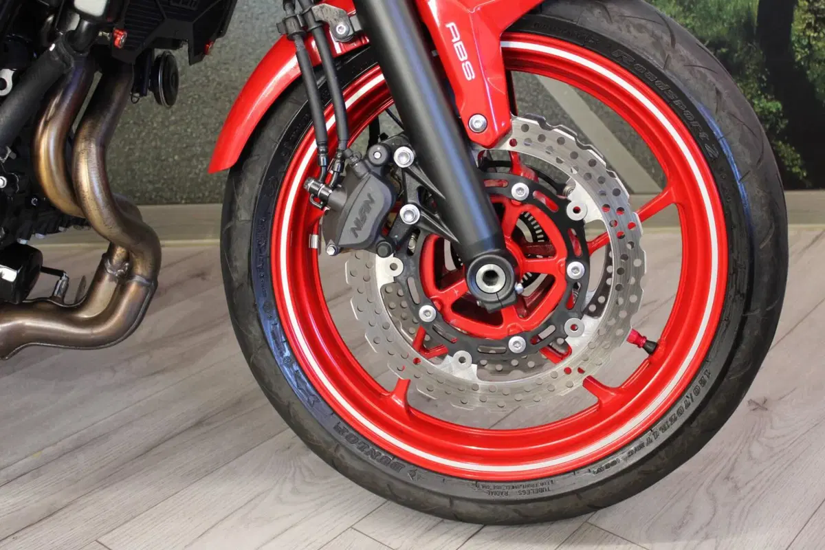 Kawasaki Z 650 50th Anniversary (2022 - 23) (13)