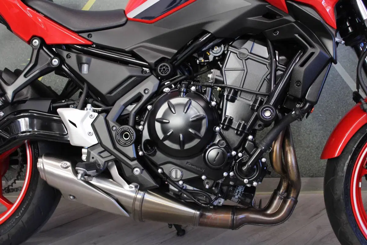 Kawasaki Z 650 50th Anniversary (2022 - 23) (14)