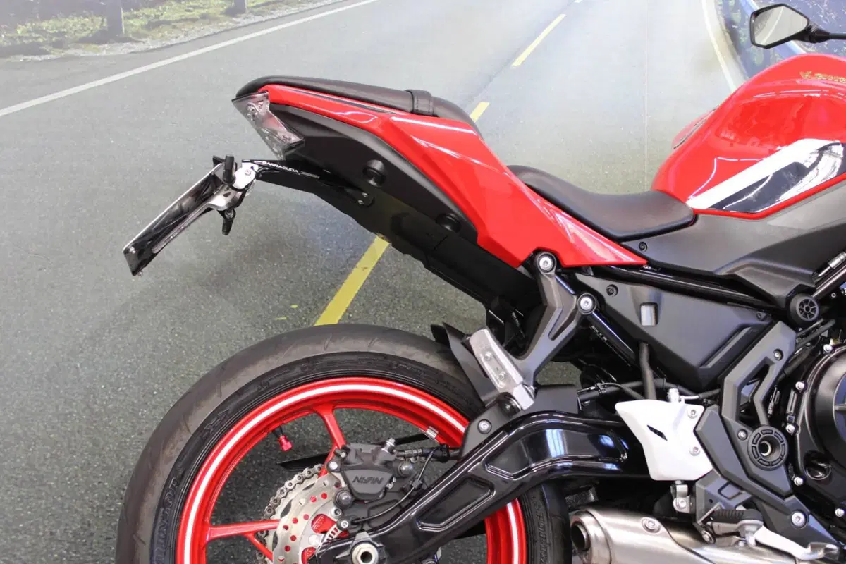 Kawasaki Z 650 50th Anniversary (2022 - 23) (15)