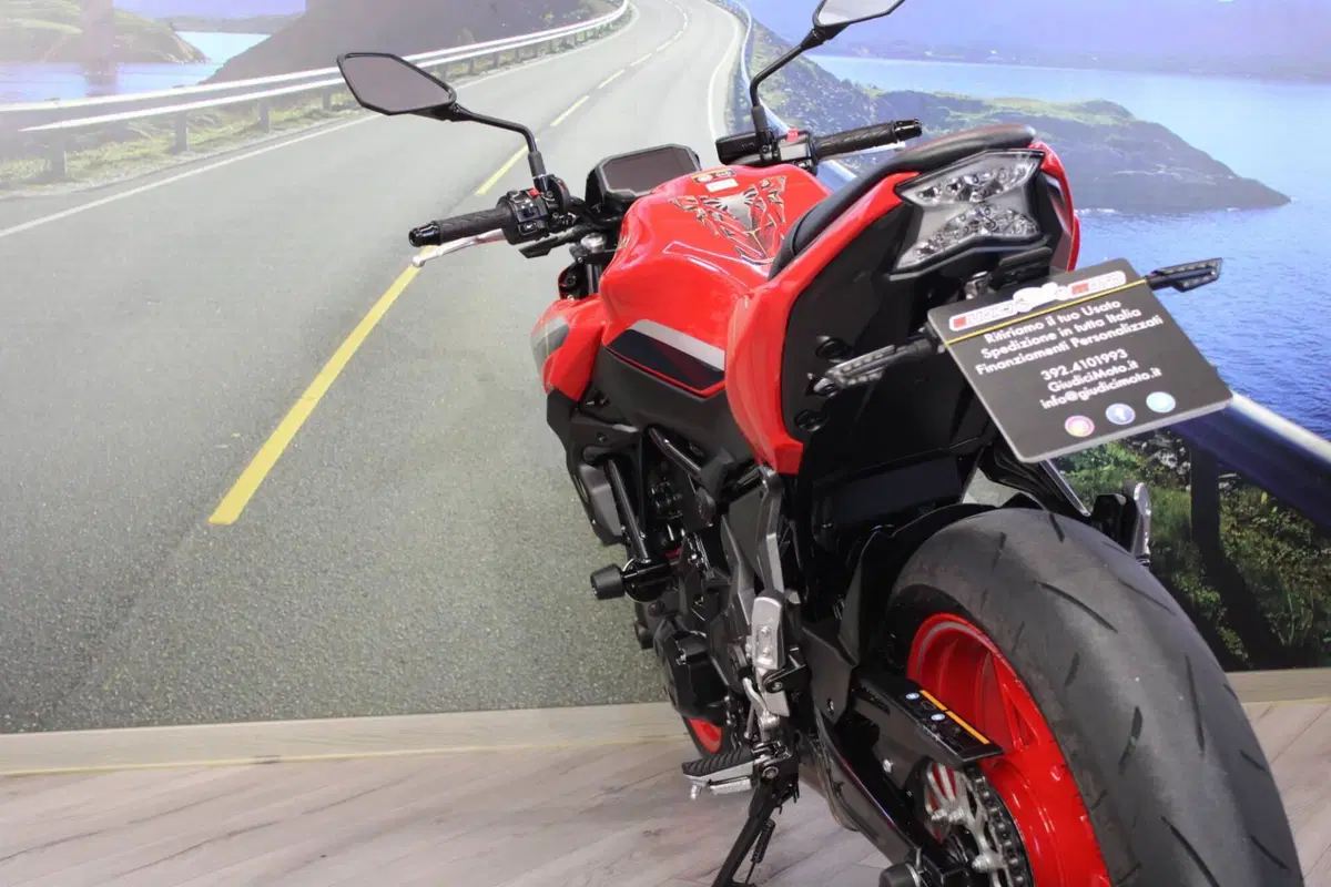 Kawasaki Z 650 50th Anniversary (2022 - 23) (17)