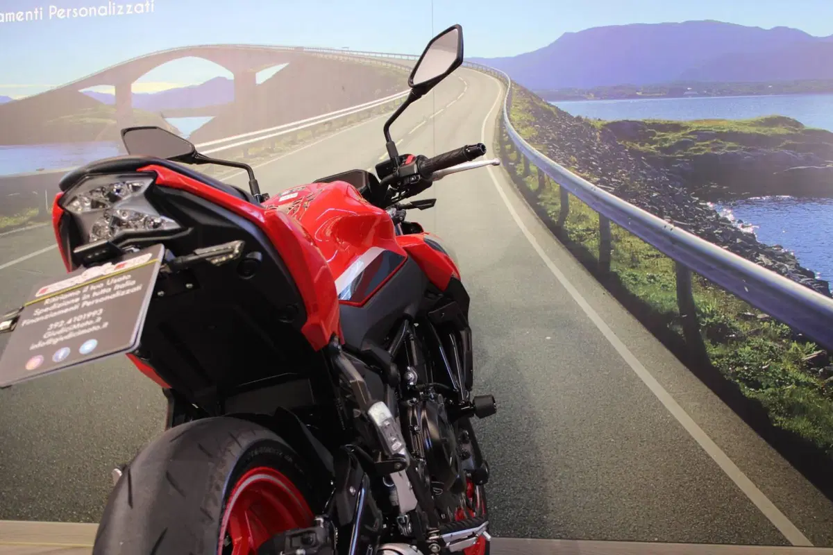 Kawasaki Z 650 50th Anniversary (2022 - 23) (18)