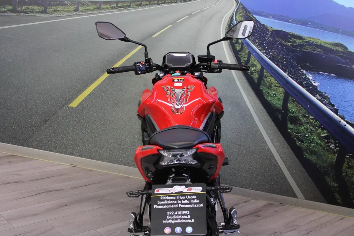 Kawasaki Z 650 50th Anniversary (2022 - 23) (19)