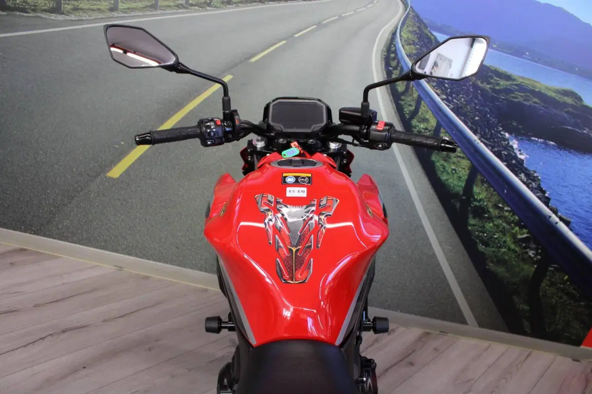 Kawasaki Z 650 50th Anniversary (2022 - 23) (20)