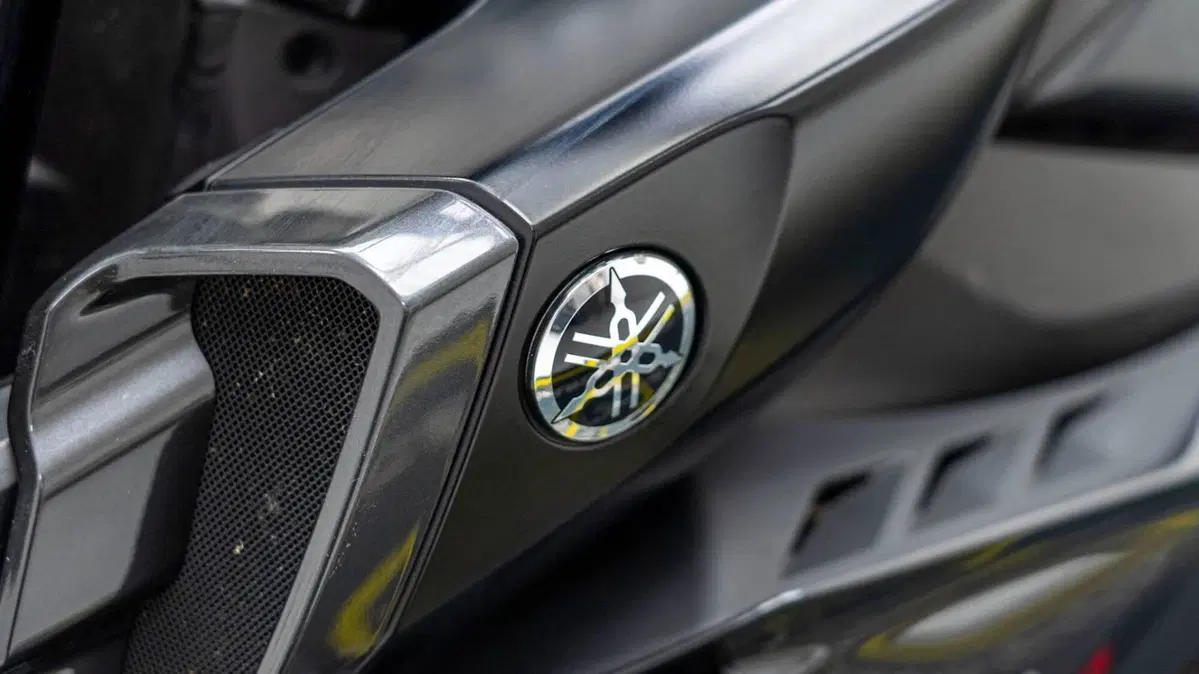 Yamaha MT-10 (2017 - 20) (13)