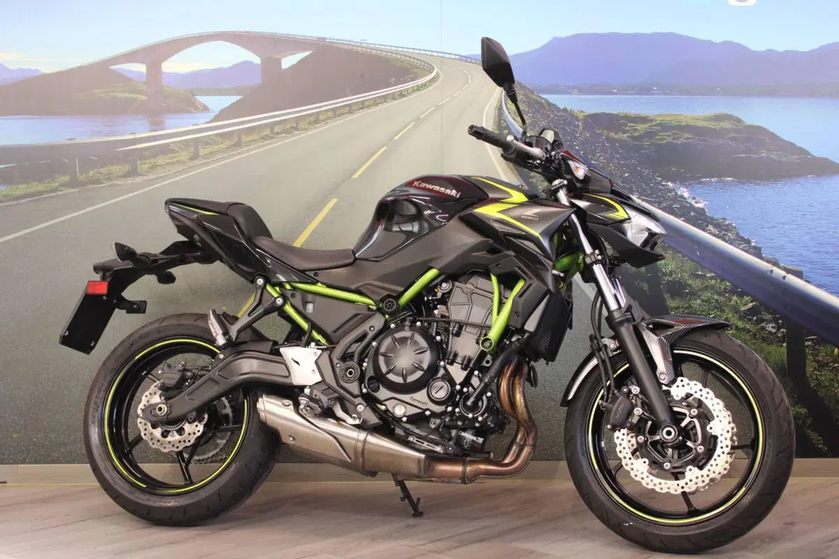 Kawasaki Z 650 (2021 - 24) (5)