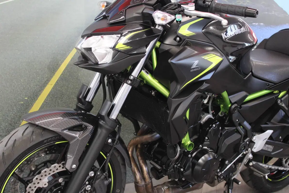 Kawasaki Z 650 (2021 - 24) (7)
