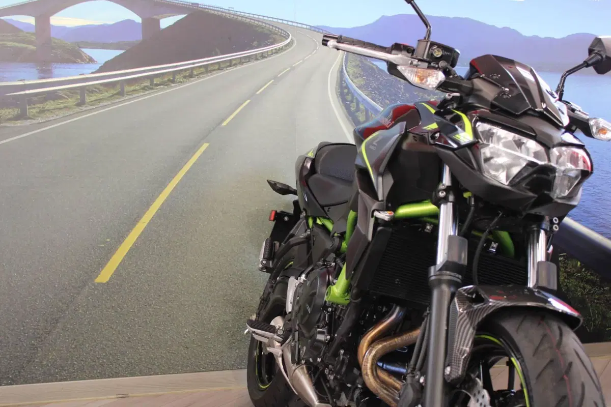 Kawasaki Z 650 (2021 - 24) (9)