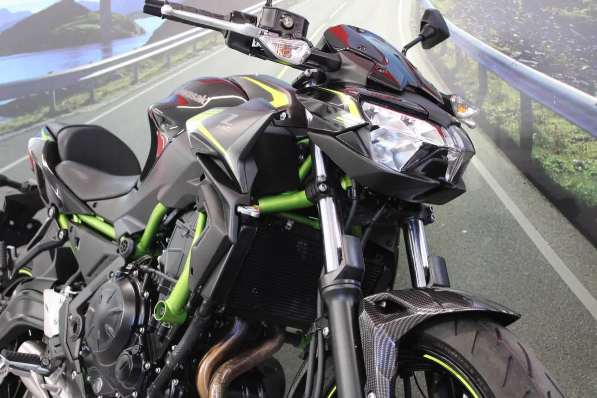 Kawasaki Z 650 (2021 - 24) (11)