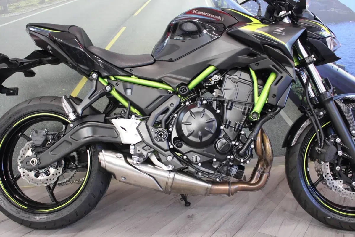 Kawasaki Z 650 (2021 - 24) (13)