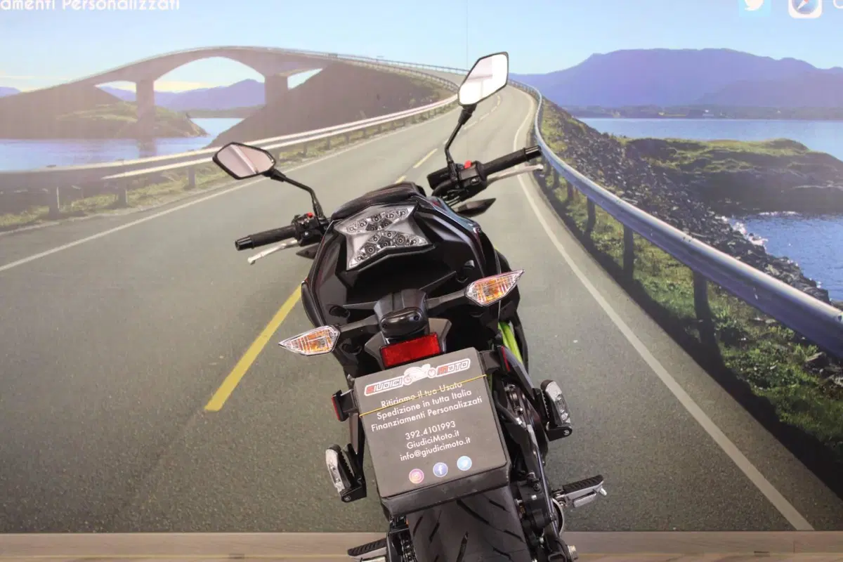 Kawasaki Z 650 (2021 - 24) (15)