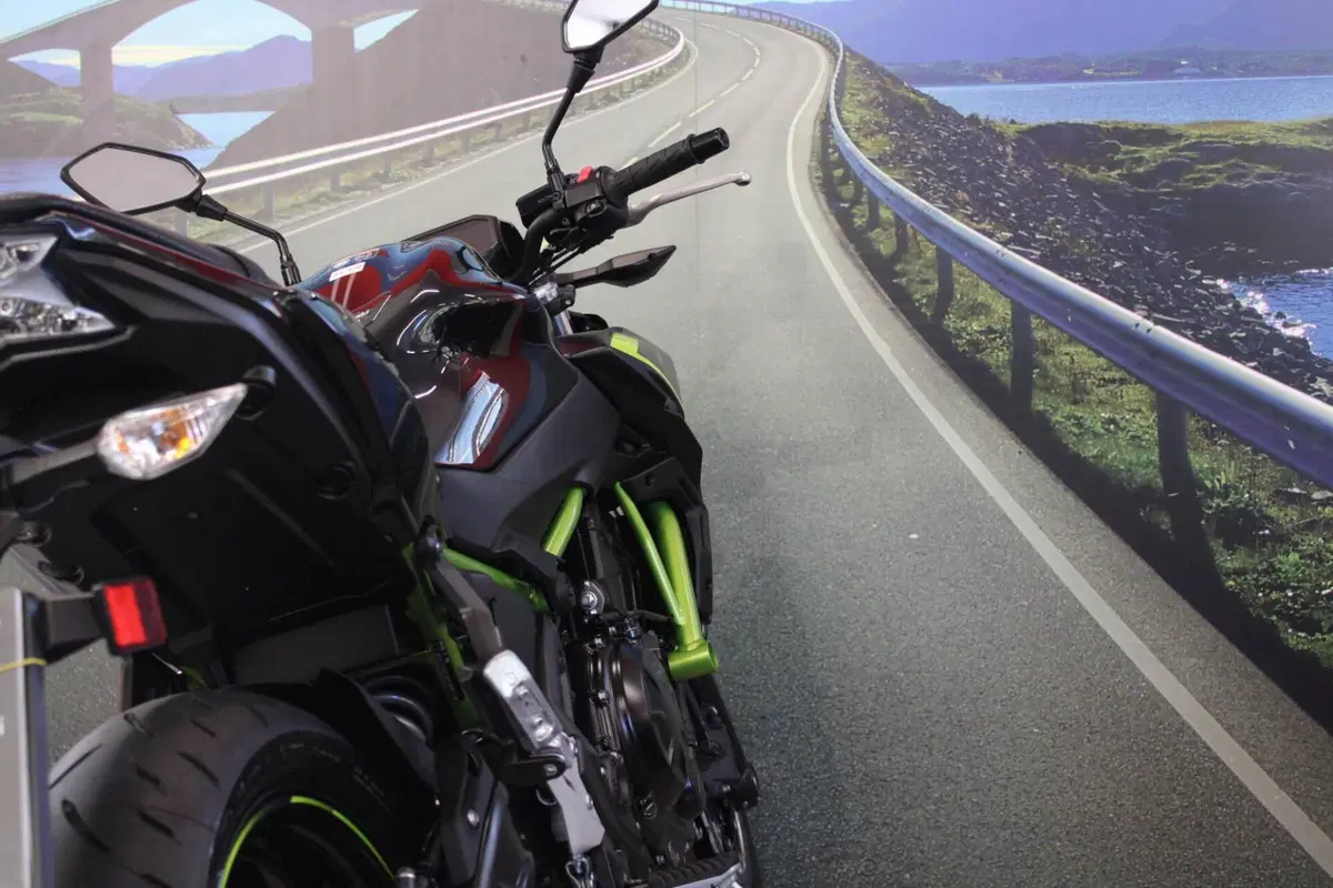 Kawasaki Z 650 (2021 - 24) (17)