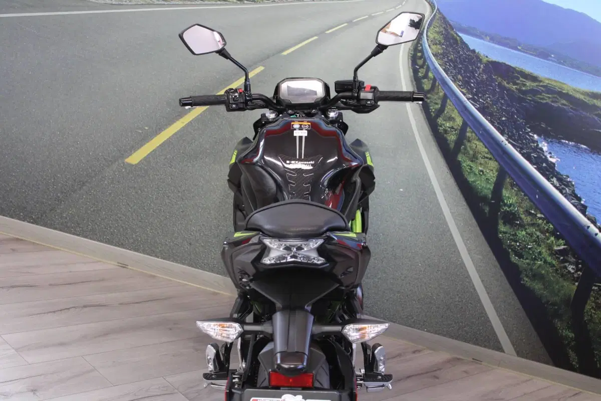 Kawasaki Z 650 (2021 - 24) (18)