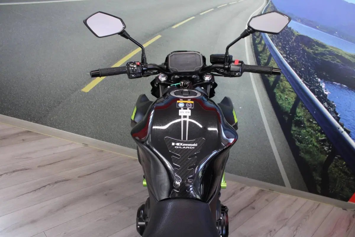 Kawasaki Z 650 (2021 - 24) (19)