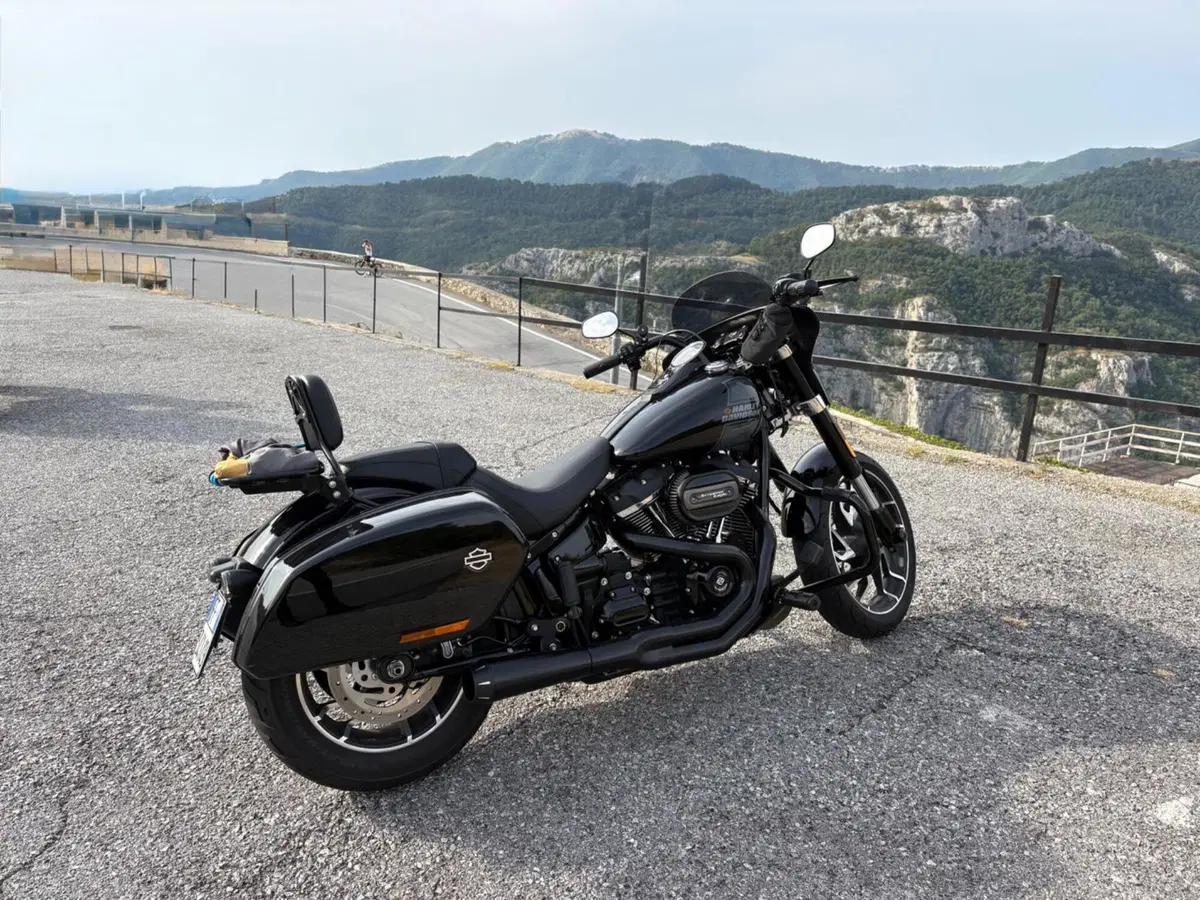 Harley-Davidson Sport Glide (2021 - 25) (6)