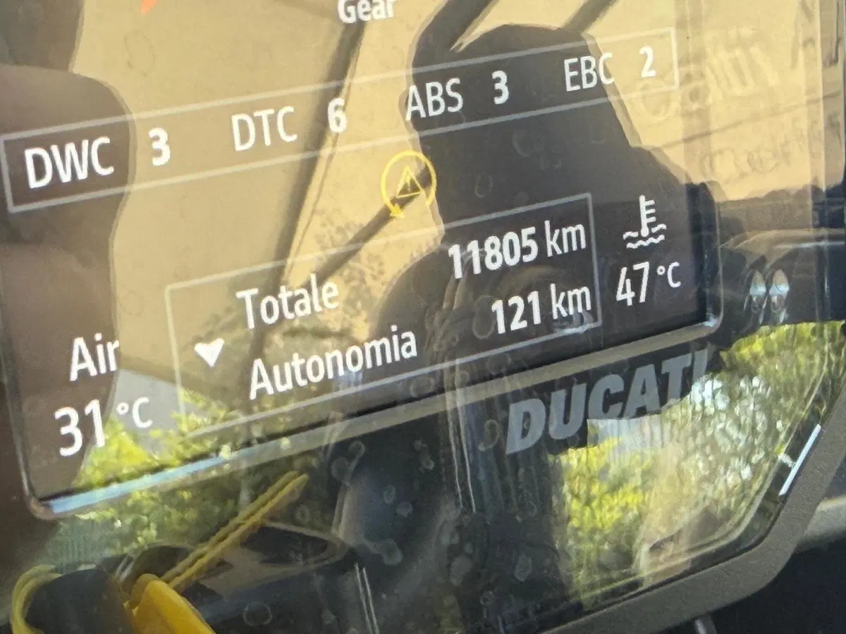 Ducati DesertX Rally (2024 - 25) (2)
