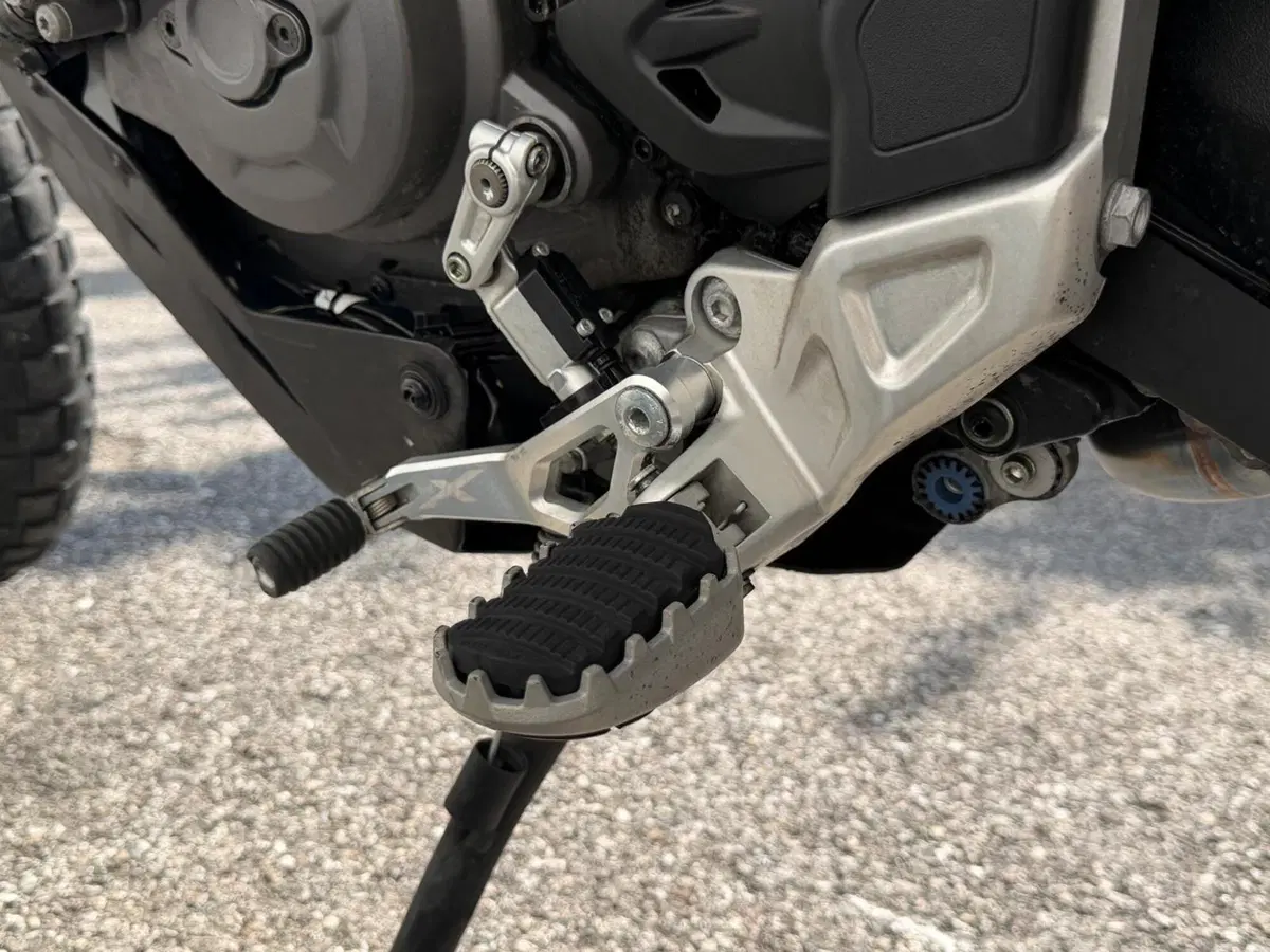 Ducati DesertX Rally (2024 - 25) (6)