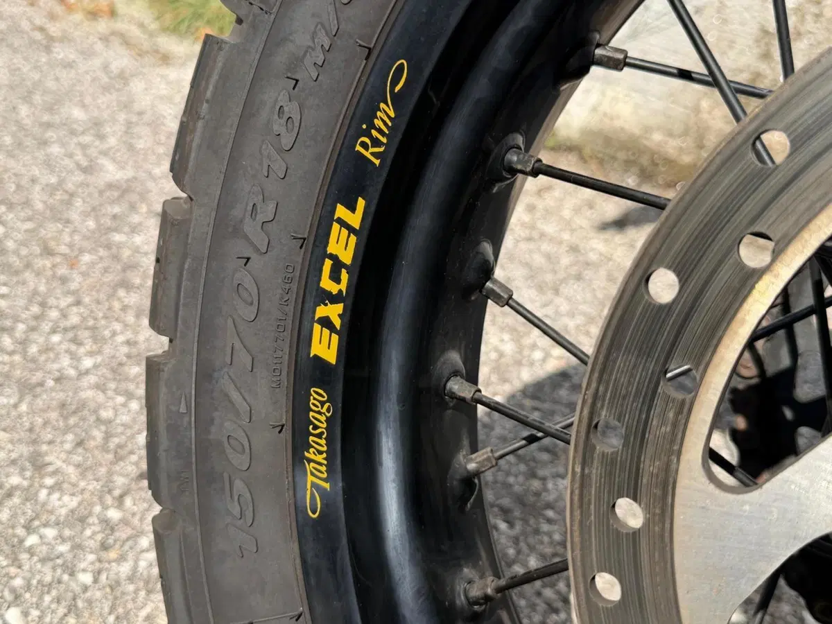 Ducati DesertX Rally (2024 - 25) (10)