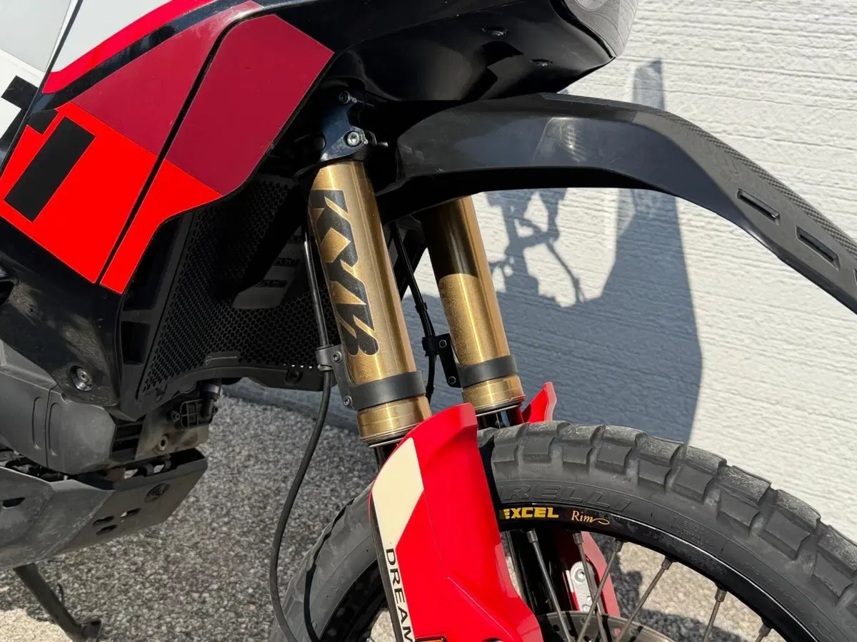 Ducati DesertX Rally (2024 - 25) (11)