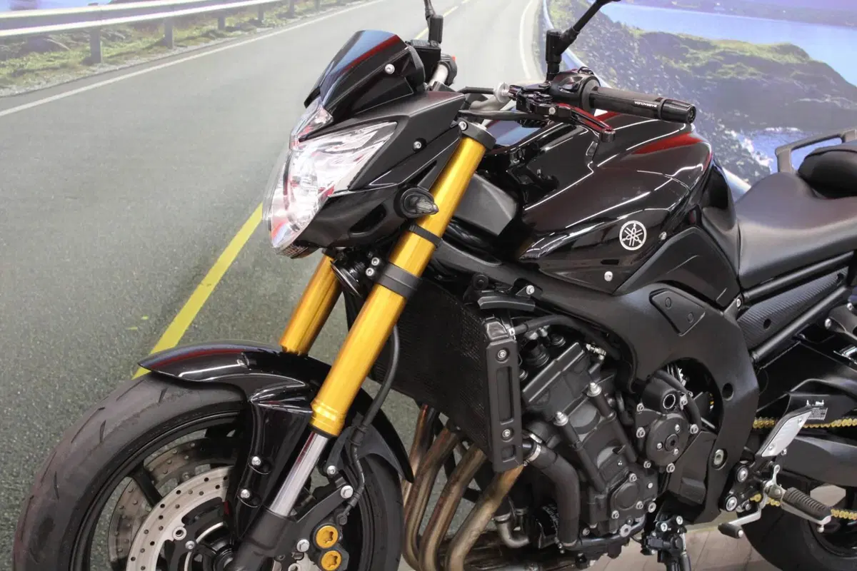Yamaha FZ8 (2010 - 12) (7)