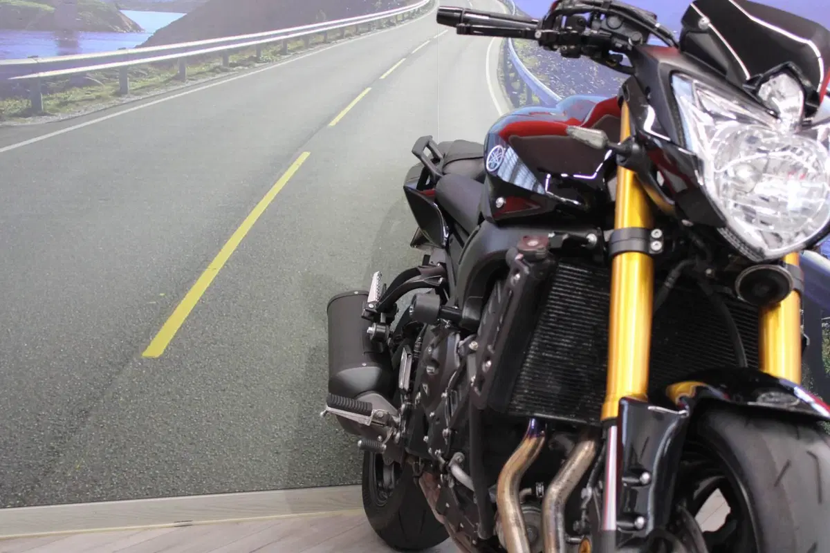 Yamaha FZ8 (2010 - 12) (9)