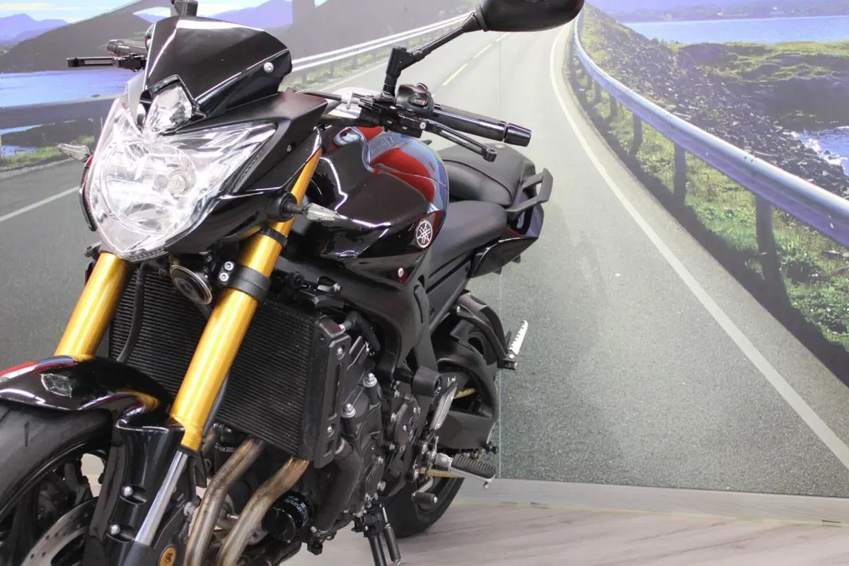 Yamaha FZ8 (2010 - 12) (10)