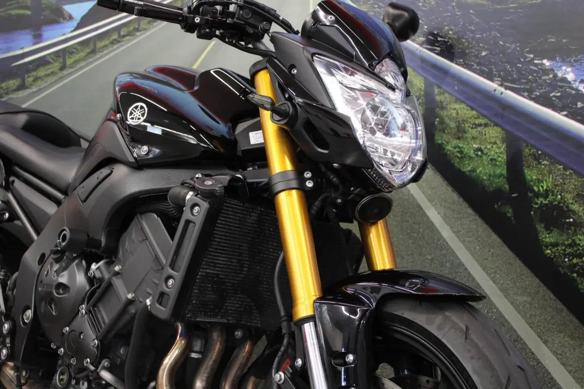 Yamaha FZ8 (2010 - 12) (11)