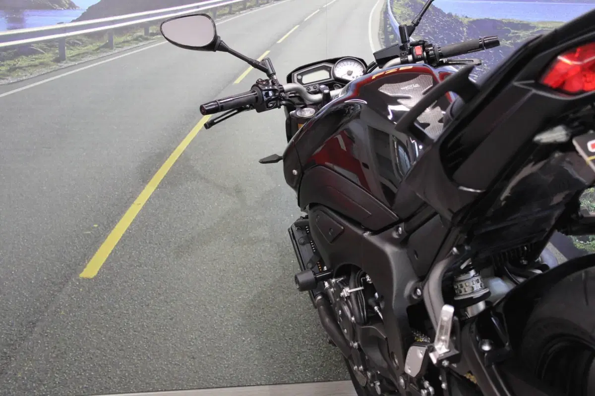 Yamaha FZ8 (2010 - 12) (16)