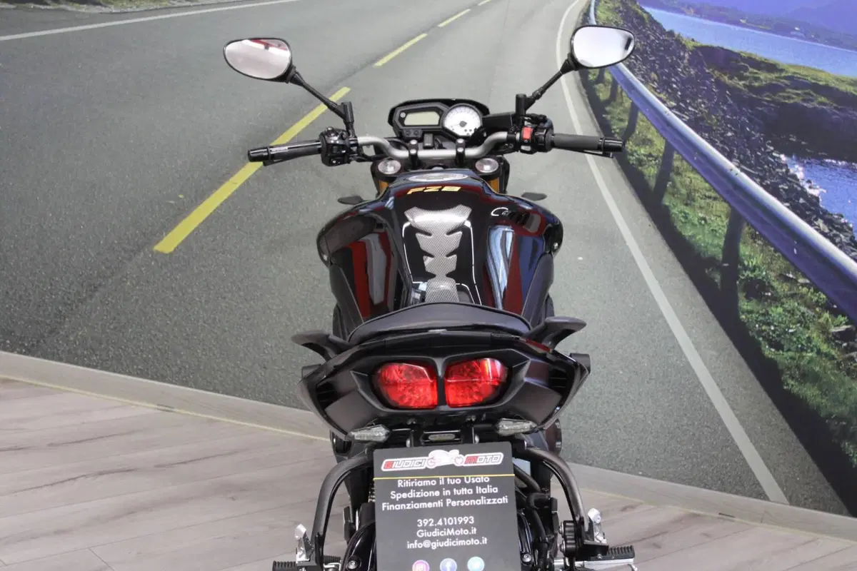 Yamaha FZ8 (2010 - 12) (18)