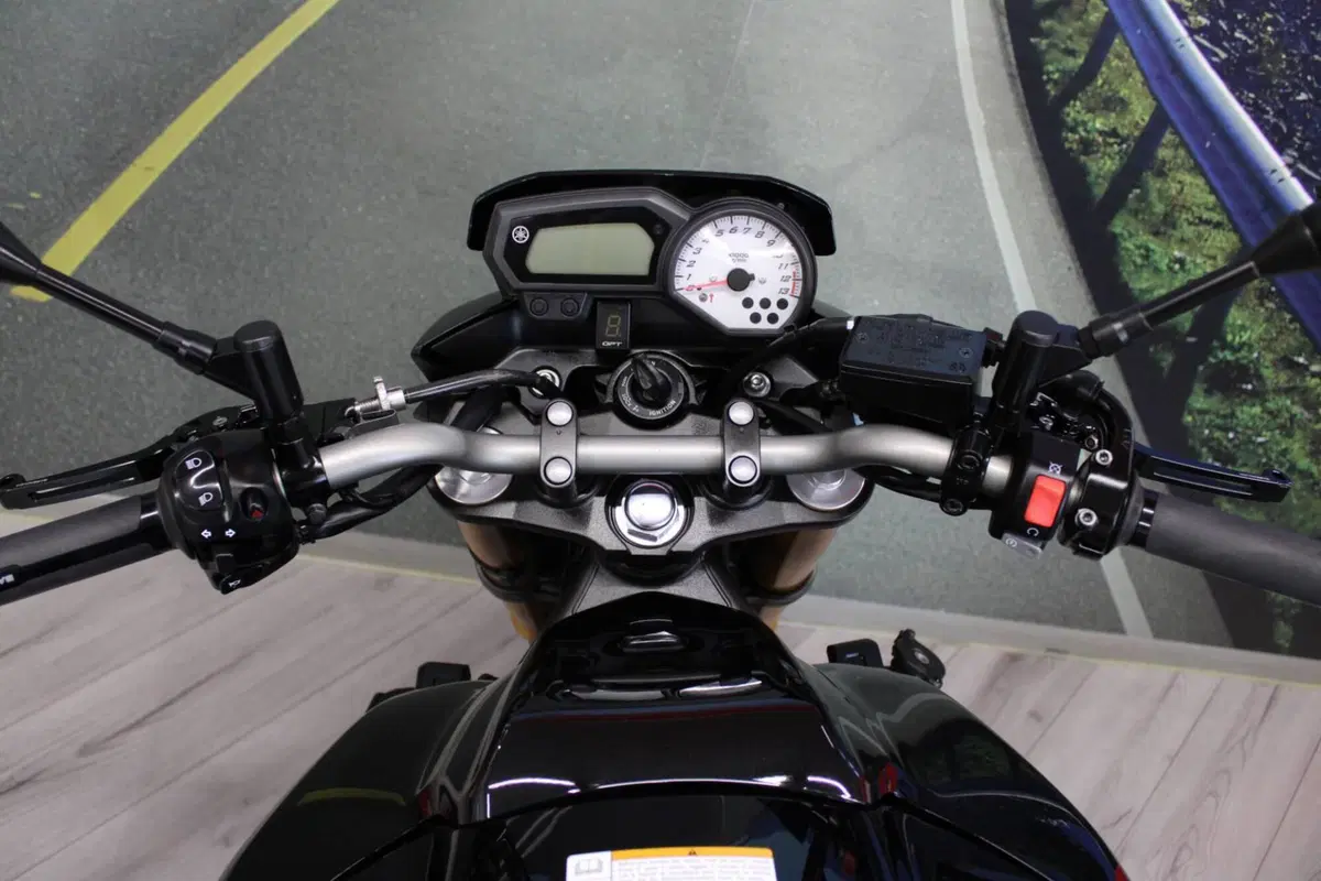 Yamaha FZ8 (2010 - 12) (20)