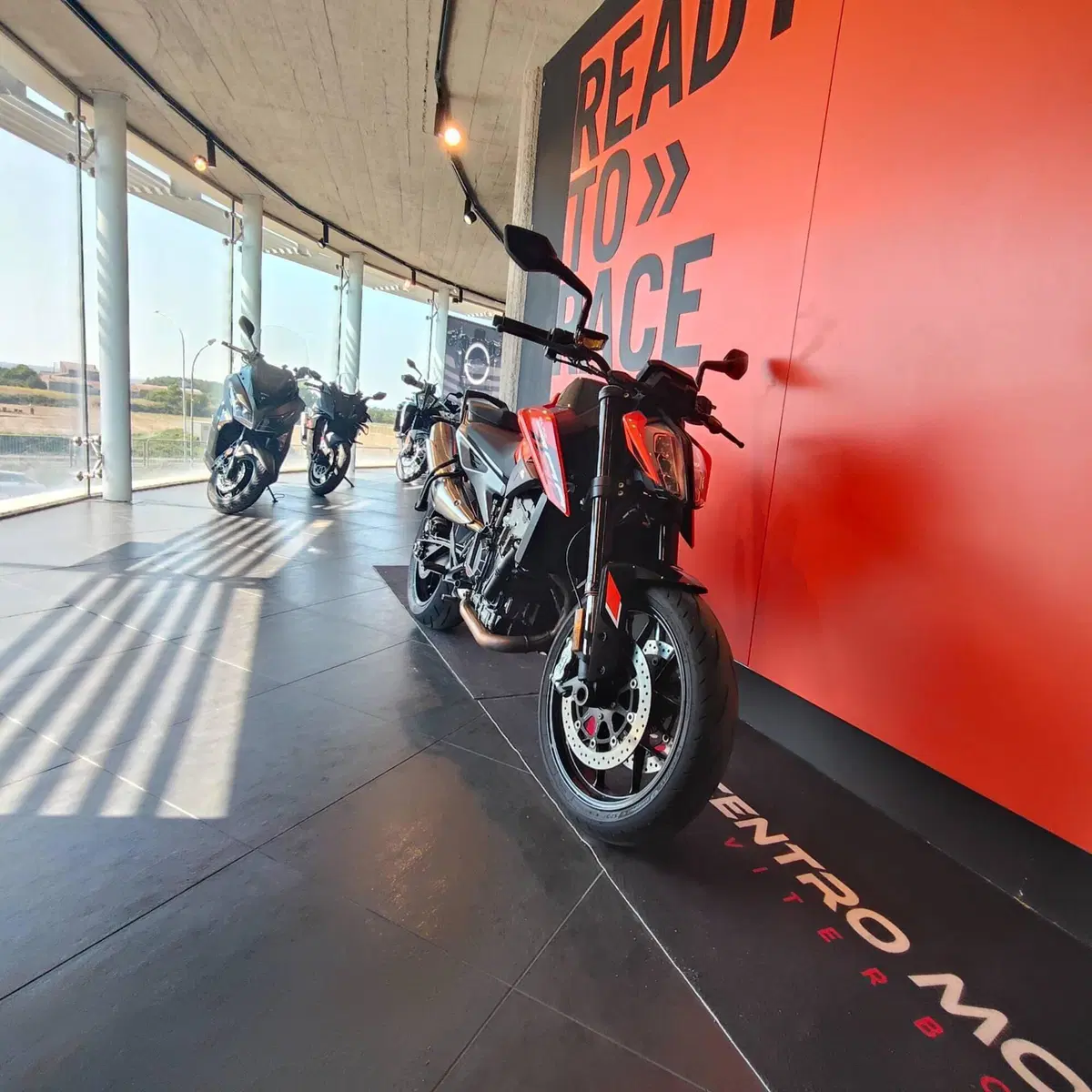 KTM 790 Duke L (2023 - 24) (6)