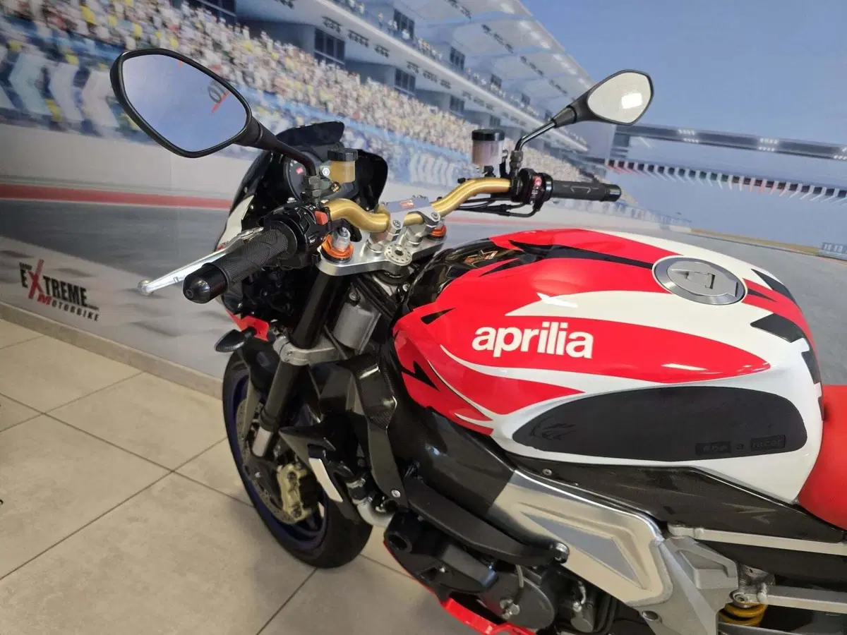 Aprilia Tuono 1000 R (2006 - 10) (6)