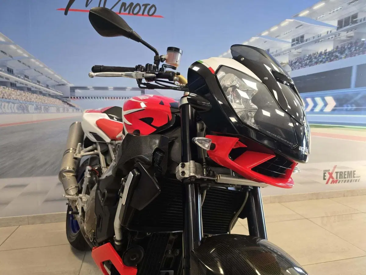 Aprilia Tuono 1000 R (2006 - 10) (11)