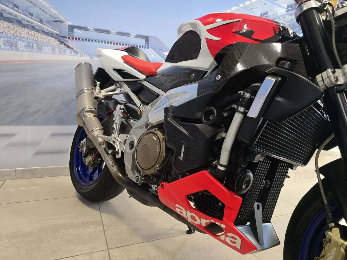 Aprilia Tuono 1000 R (2006 - 10) (12)