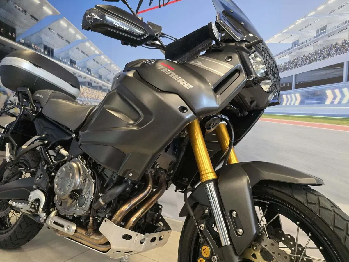 Yamaha XT1200Z Super Ténéré ABS (2015 - 16) (17)