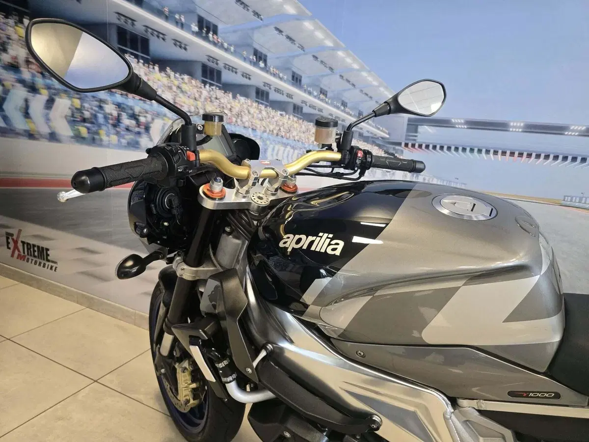 Aprilia Tuono 1000 R (2006 - 10) (11)