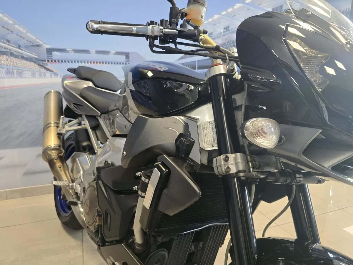 Aprilia Tuono 1000 R (2006 - 10) (12)