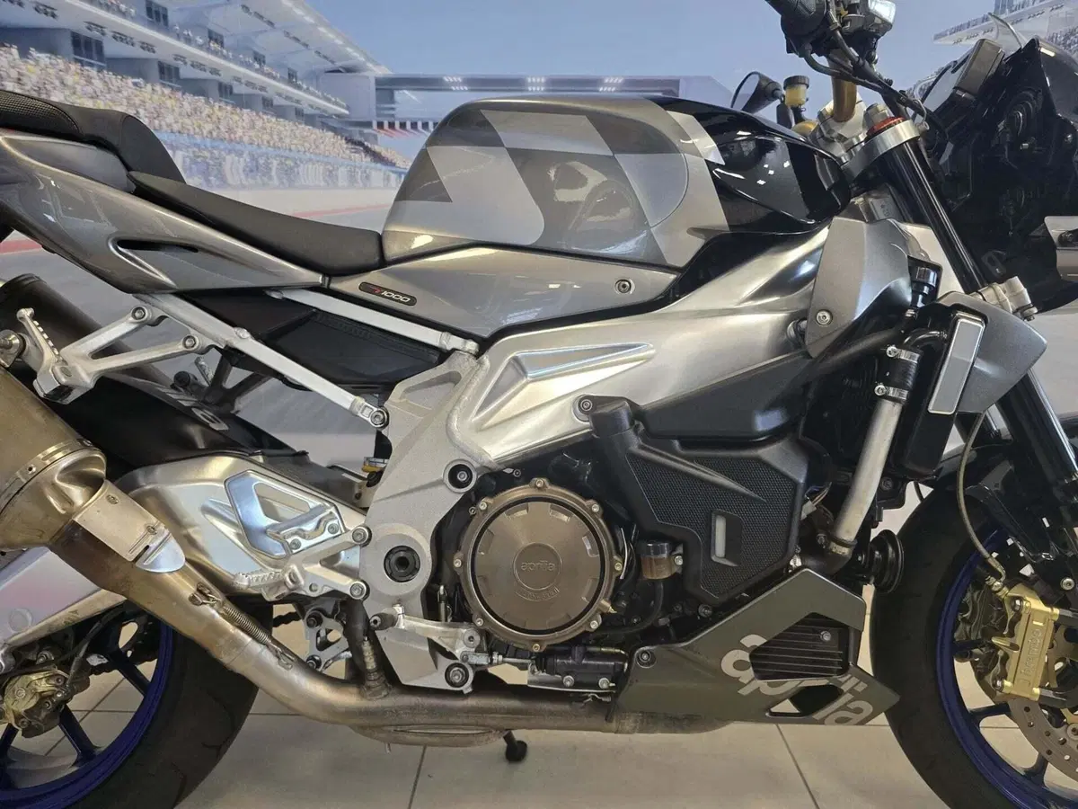 Aprilia Tuono 1000 R (2006 - 10) (16)