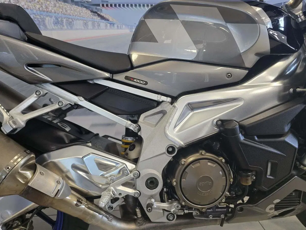 Aprilia Tuono 1000 R (2006 - 10) (19)