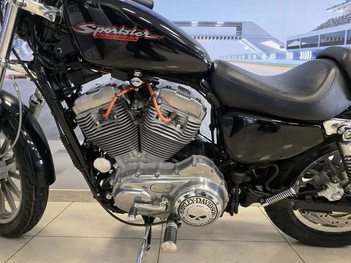 Harley-Davidson 883 Standard (2001 - 05) - XL 883 (9)