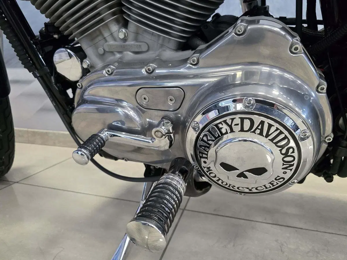 Harley-Davidson 883 Standard (2001 - 05) - XL 883 (12)