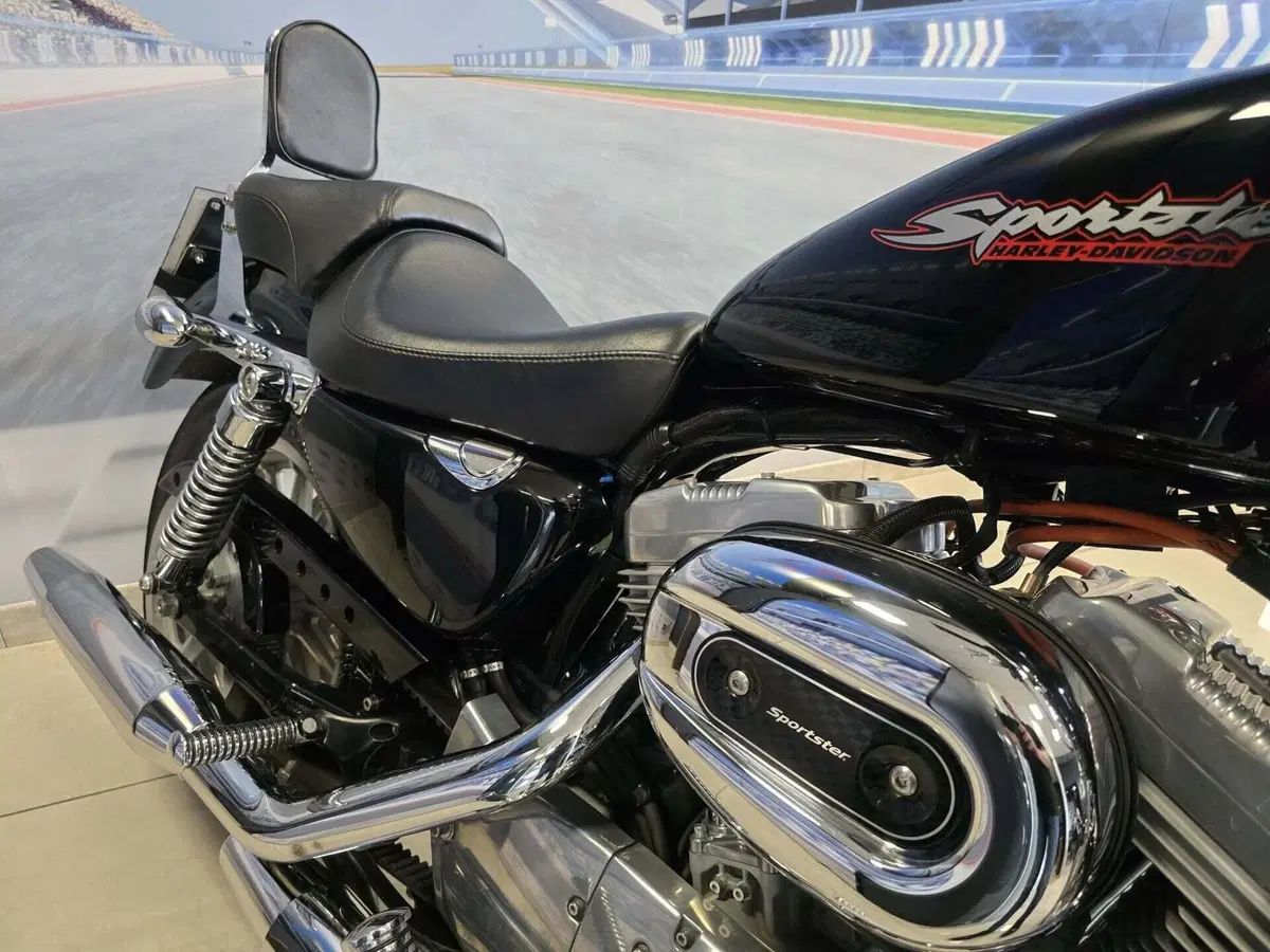 Harley-Davidson 883 Standard (2001 - 05) - XL 883 (15)