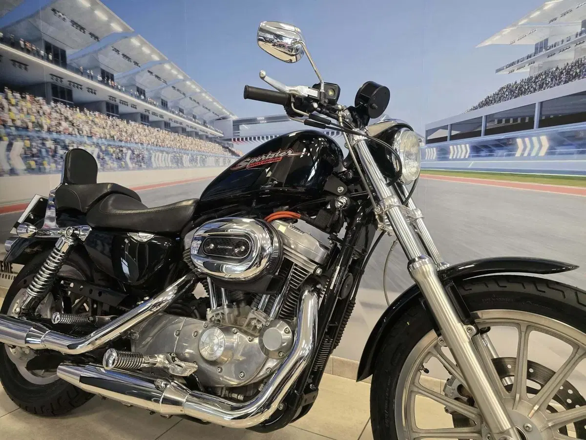 Harley-Davidson 883 Standard (2001 - 05) - XL 883 (17)