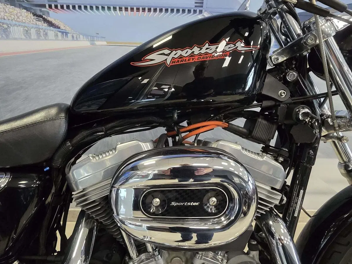 Harley-Davidson 883 Standard (2001 - 05) - XL 883 (20)