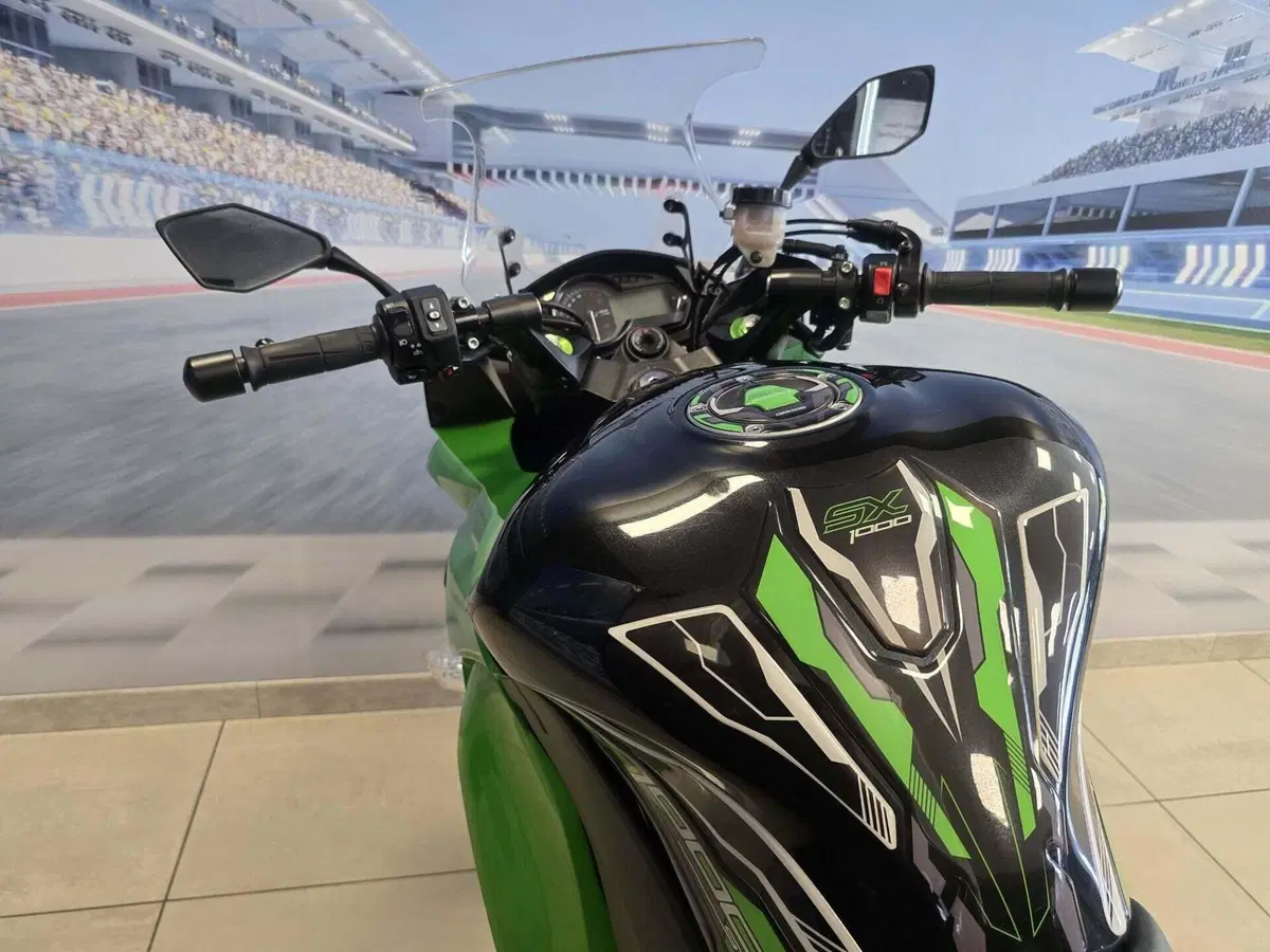 Kawasaki Z 1000 SX ABS (2014 - 16) (6)